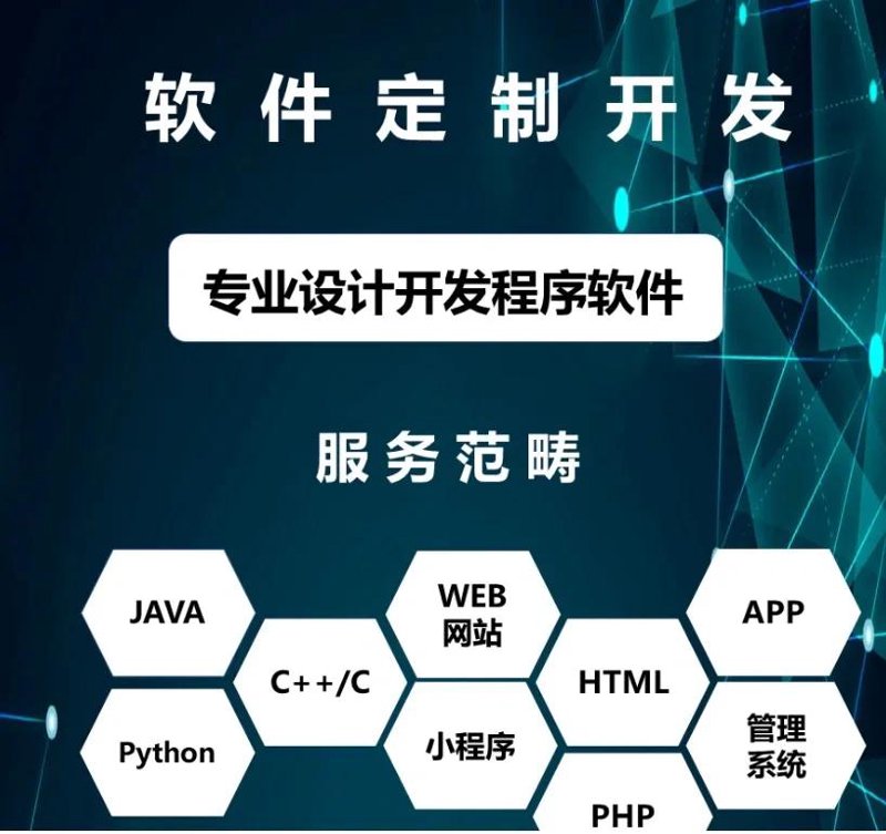 软件定制开发:企业成长的秘密武器
